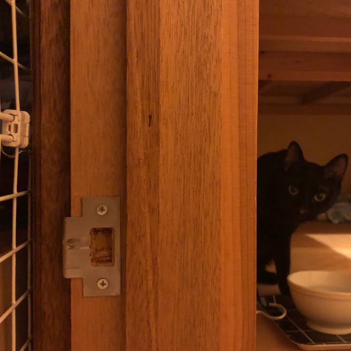 C6db8c26 2739 40f2 a936 60f2679398e4 1659959800819