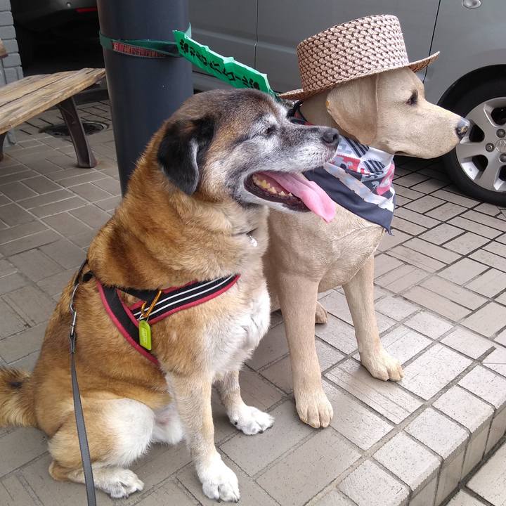 C6db9b1a 0d50 432c 9a37 2dc102624fd0 1564274450873