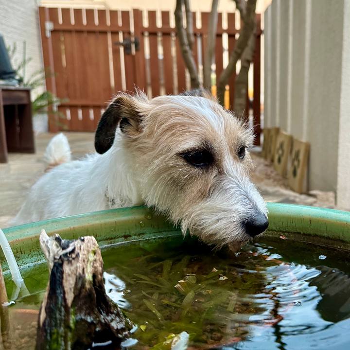 C6dbad32 3f33 4c56 8eaf 4d76813dc1e4 1771879666113