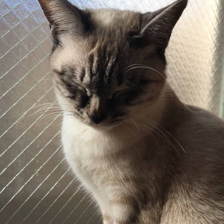 C6dbbf4c 58e9 4558 aea8 308cf2d5894e 1552029075829