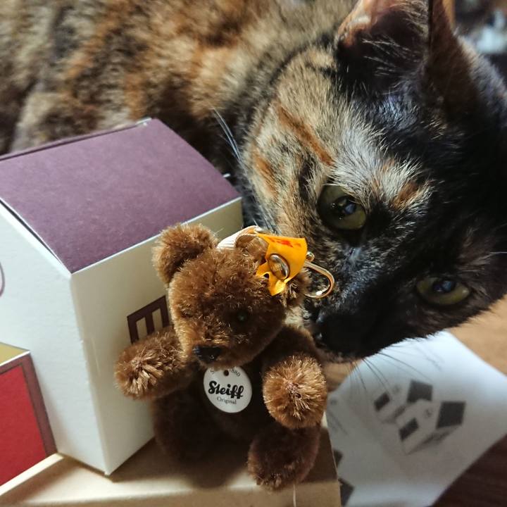 C6dbf756 4296 4b3b 95a6 0fca33656b02 1572783666854