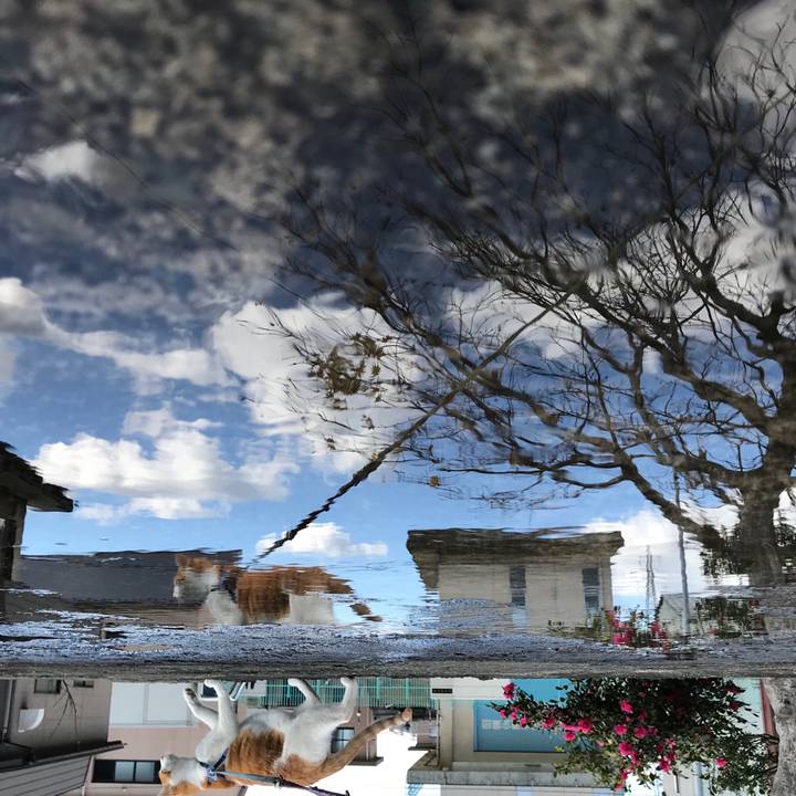 C6dc13c1 dedf 4623 96c0 28a8da577b55 1510811610967