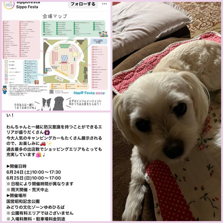 C6dc4f8d 58ea 4798 a06b 8c129630ad86 1685357551003