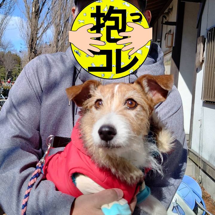 C6dc6215 4f86 4627 b65e 87ebbc973634 1769694329245