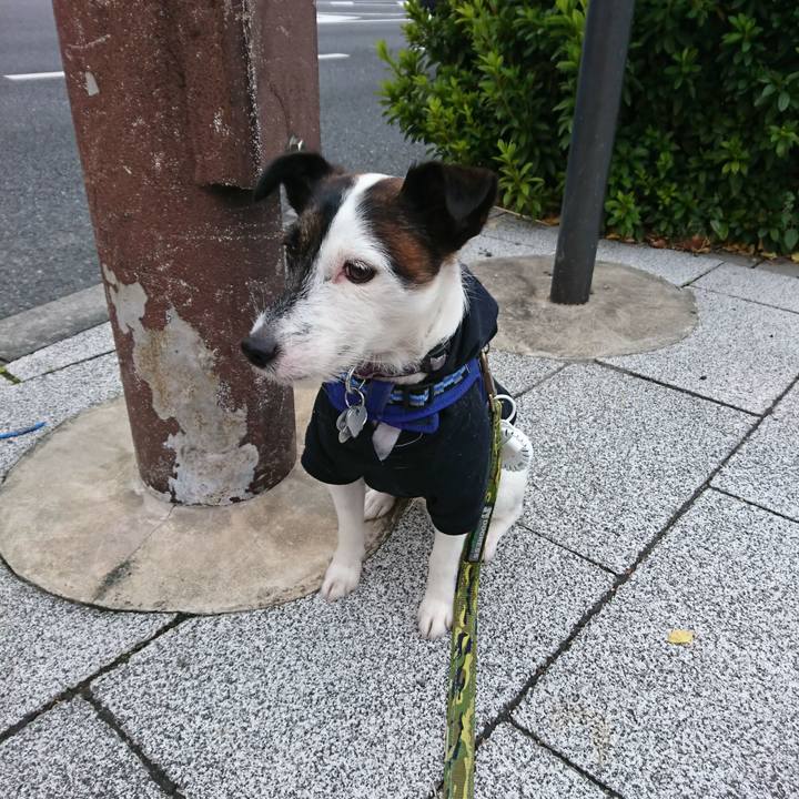 C6dc67c0 eb70 4d0c 8dca 8c07a5a6f07f 1511820082261