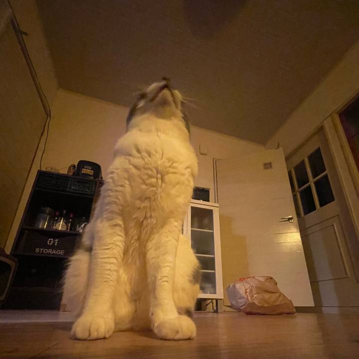 C6dc72ae c7e9 411a 8cbd aaa8561c0daa 1725125183441