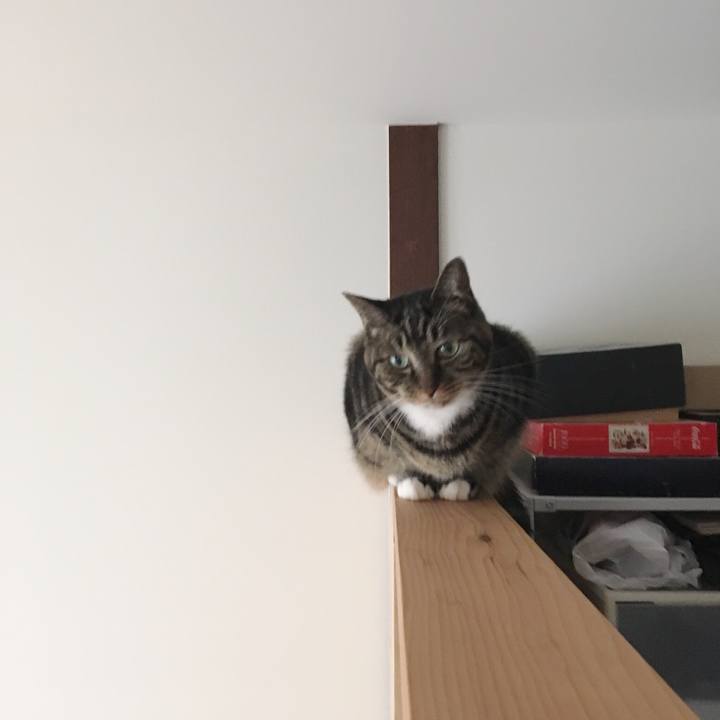 C6dc8049 e869 4da3 8d12 577bed5c1a16 1571704776344