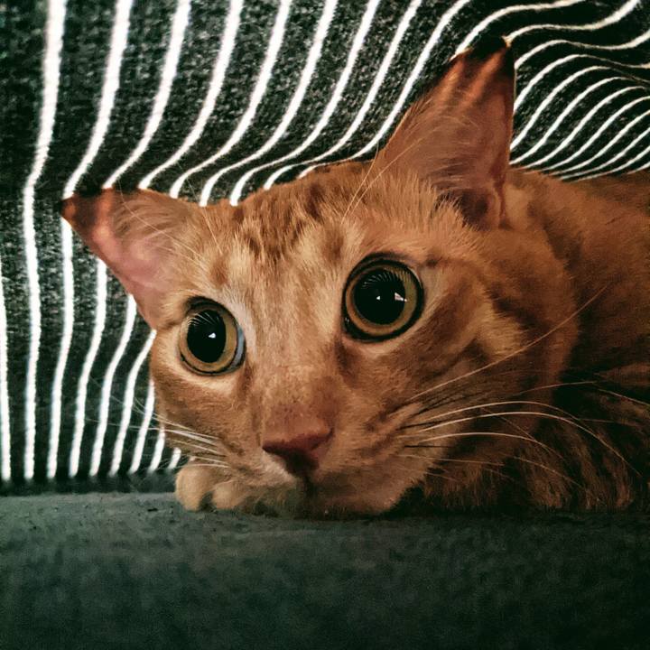 C6dc8c7f 8870 4160 85ee c2378f9a403b 1637017096362