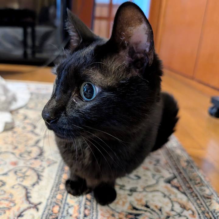 C6dcd53e 3e76 4a26 ae3d 1461753fa68a 1767049101333