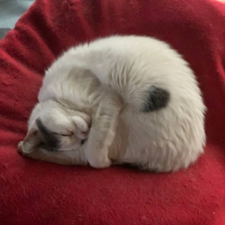 C6dcdc44 1936 4594 ba1c dbb27e27e23c 1713828803508