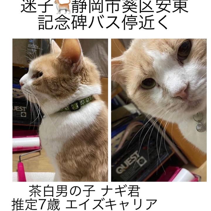 C6dd1388 89e5 4e41 8023 2a2a5d1586e7 1676607810751