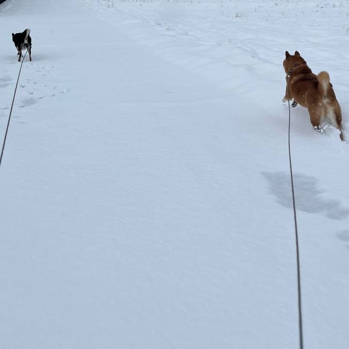 C6dd1885 5c0b 4737 bc20 d76917d3f3f2 1639832032605