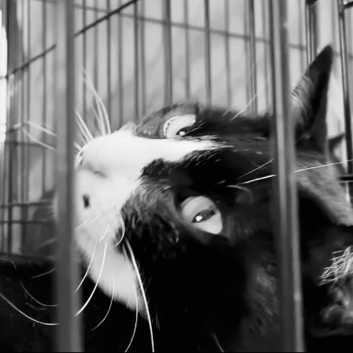 C6dd1f71 ae0c 42a0 9a98 120f0ed90450 1747215747506