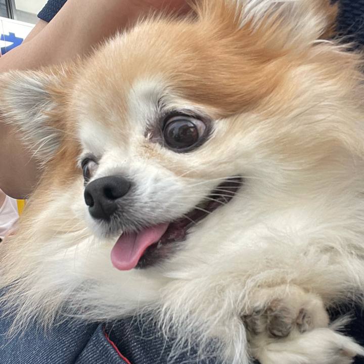 C6dd4a54 e6bd 4285 a407 4112592e143a 1760360274160