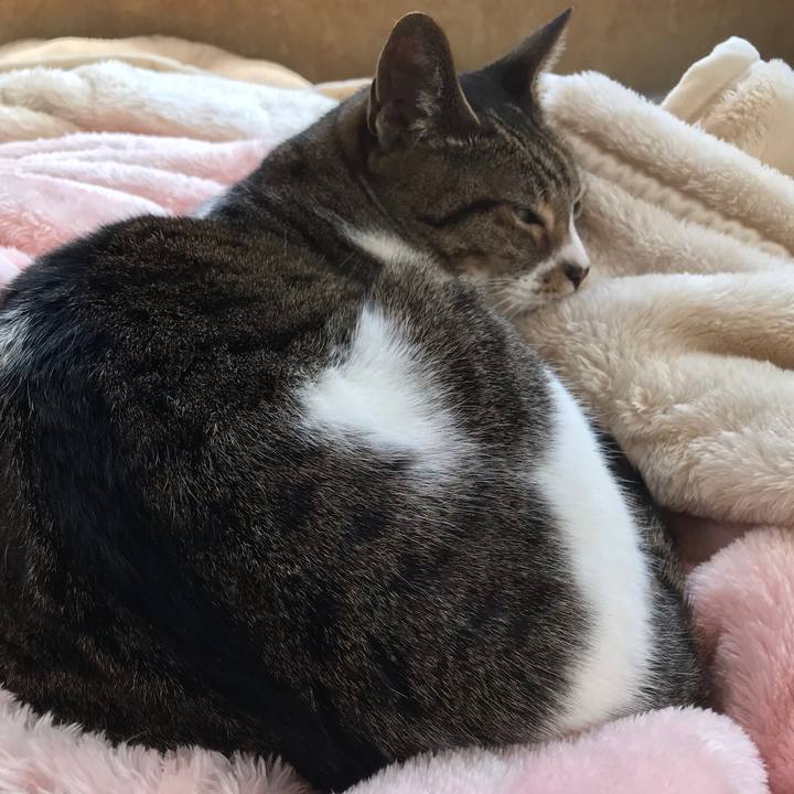 C6dd58a9 d4ca 4b69 83c9 9e64ff4a02f7 1521414983426