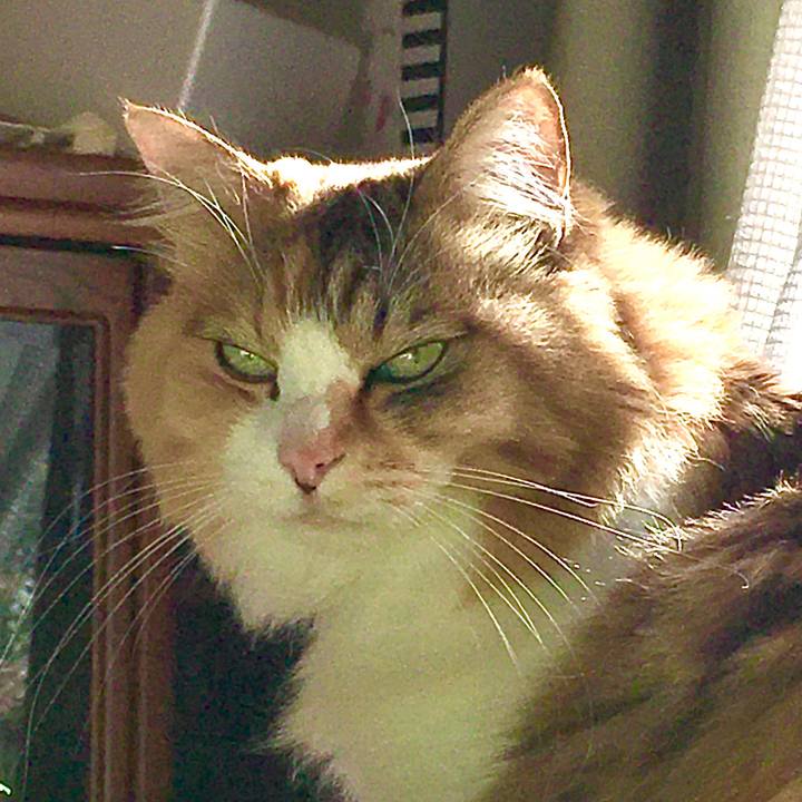 C6dd60a7 3a25 4c8c af56 27d21726f8ed 1579769430138