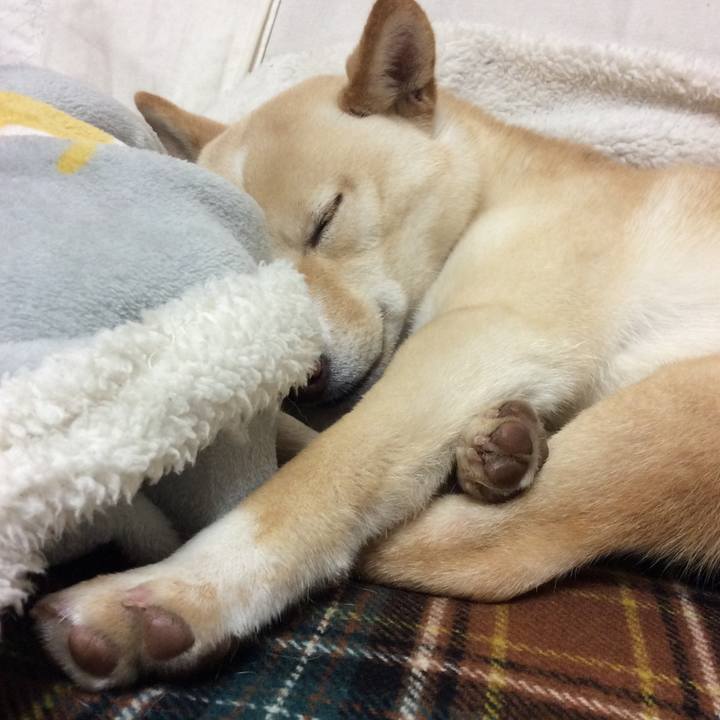 C6dddbec b1c5 4525 a350 11434af0e7ef 1516192129528