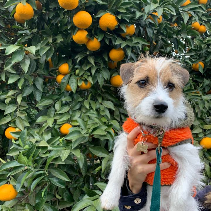 C6dde0dc c6df 43c9 b8bd ab3d1777e709 1771330658910