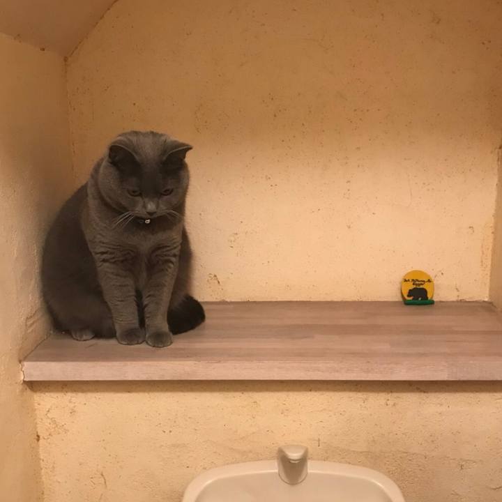 C6dde3af 326c 4e61 8ea3 3150a3e57a9c 1519549656575