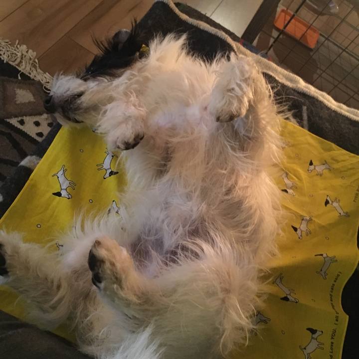 C6de0801 a1af 46aa b6b0 500048740b9c 1524224960400