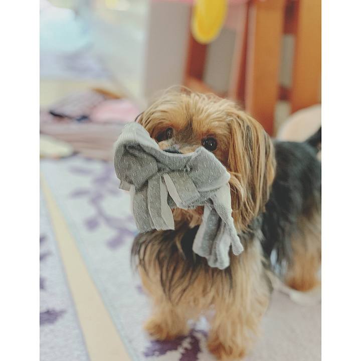 C6de1af3 7f28 41b3 beb9 0ea08cb60ba1 1559620694506