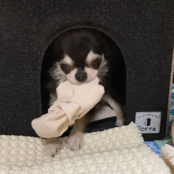 C6de379a 7520 4ade 8093 3a609d65c2df 1690037159754