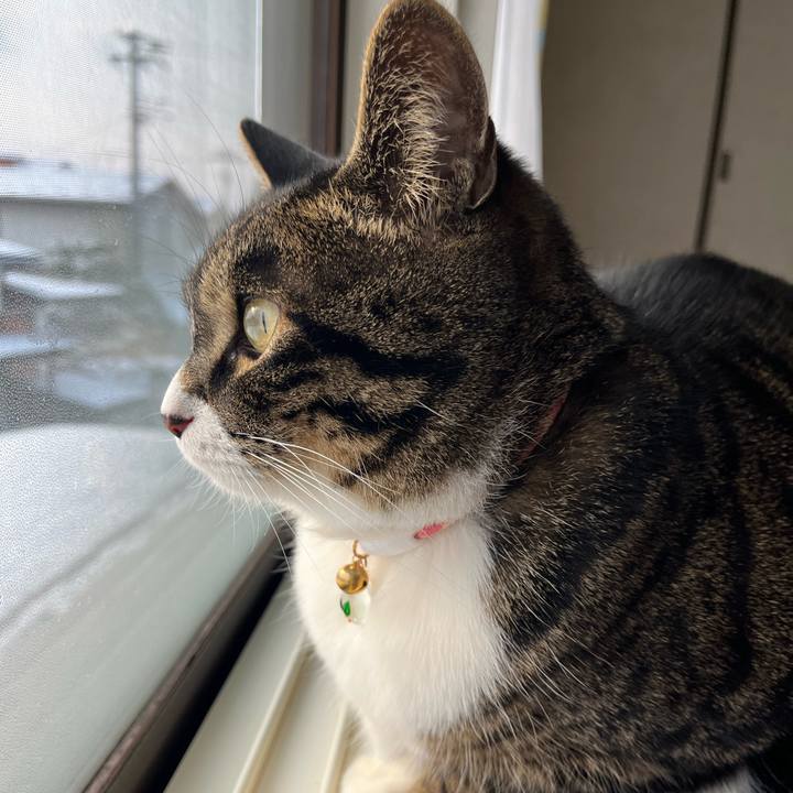 C6de593a 440d 4018 8a47 ceab081af79a 1774051214137