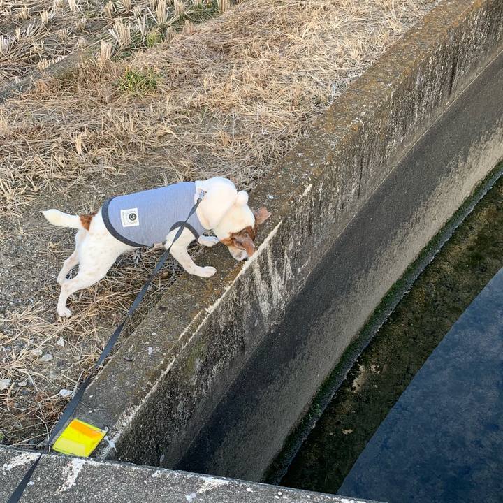 C6de5d46 da16 45c9 b8ac 0221f0b88a69 1608216065771