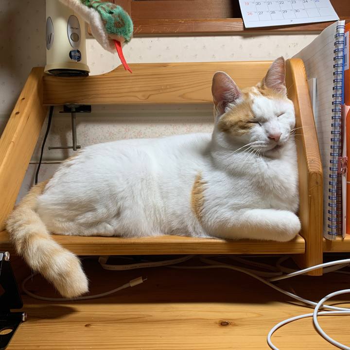 C6deba23 1f83 402b 8597 36ab77bebad1 1655153682226