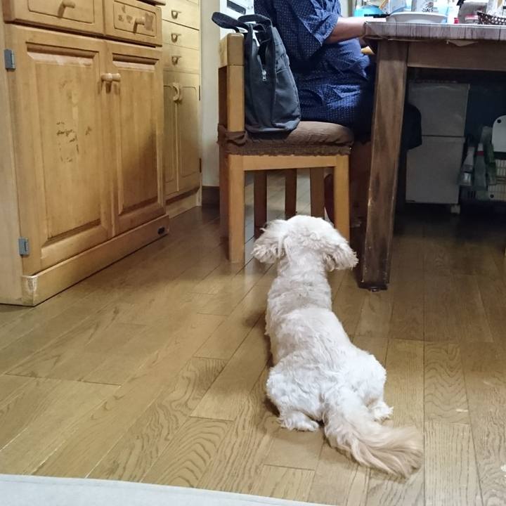 C6dec764 09b9 462c b42a b7dee97f160d 1598959500426