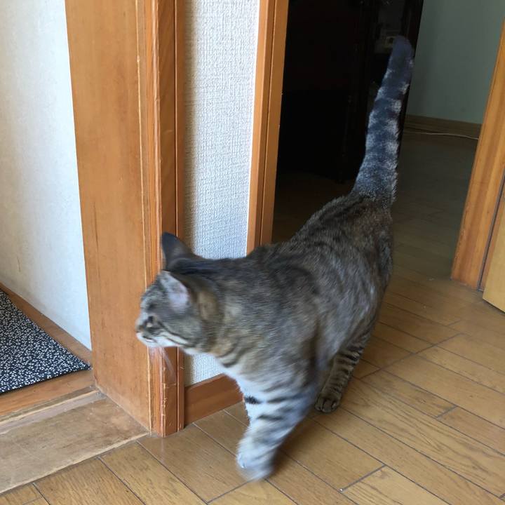 C6ded0e6 f62f 45b5 ad1c e06a16234260 1528024546004