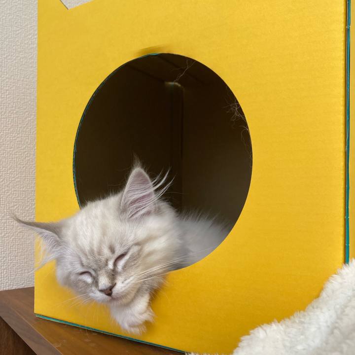 C6dede87 5952 41e3 9138 da1a828db210 1666617815410