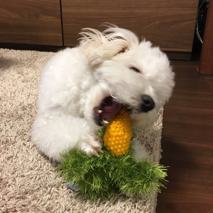 C6df243a 8823 416b bba0 032b697c684c 1556231189700