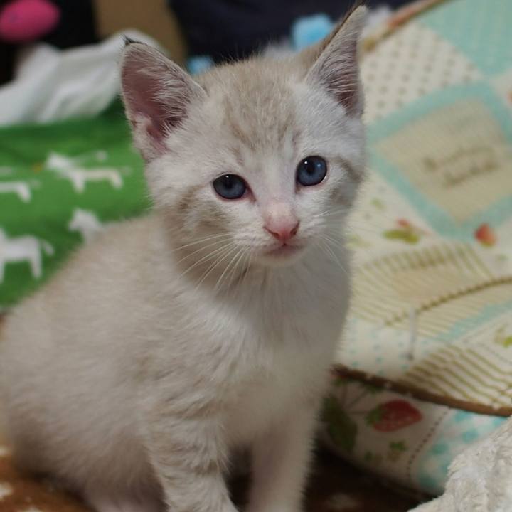 C6df39cd e185 43e2 8f34 b7fda7db7268 1521974112293