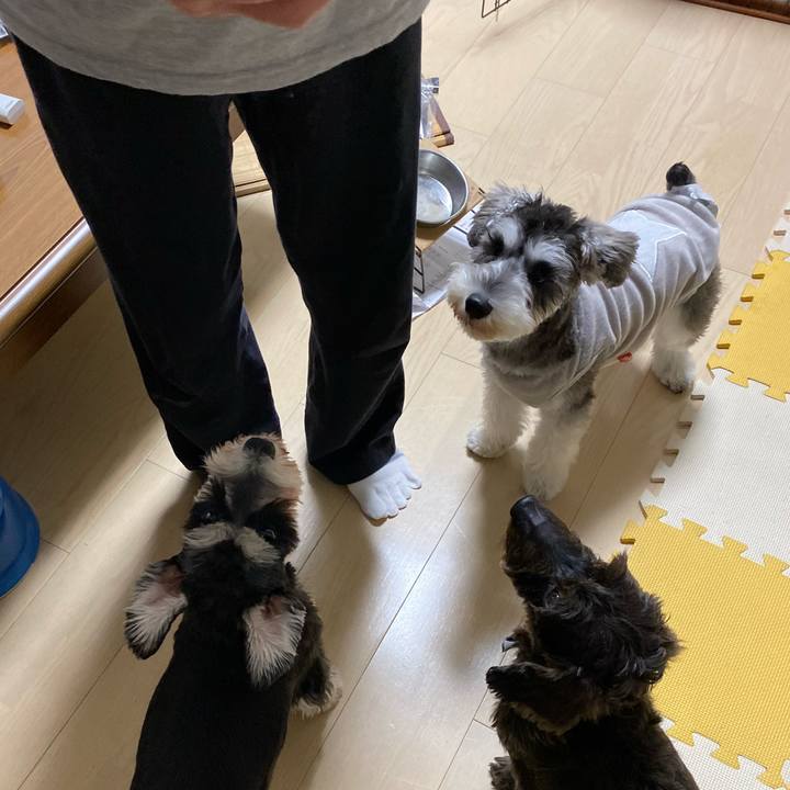 C6df4266 c085 4e72 97ea 8a4fd6c4bfcb 1572667508837