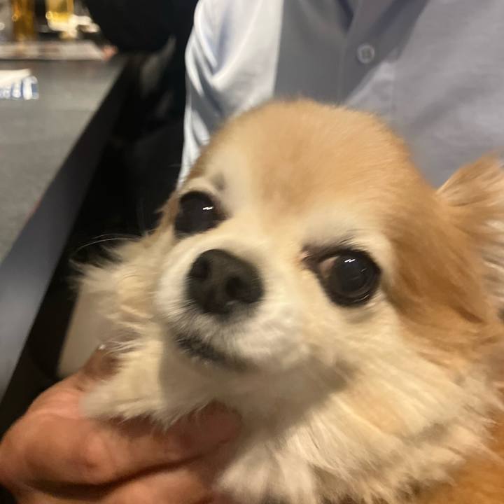 C6df652a d74a 45ab 94ec 14ad5a199c42 1773118800431