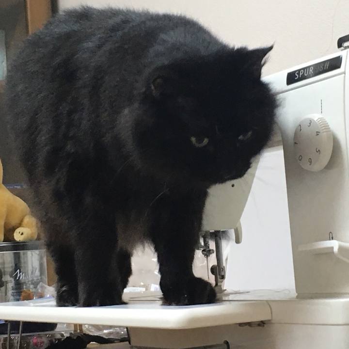 C6df833e 70db 4986 820b 5a3c610a0ae8 1572601908684