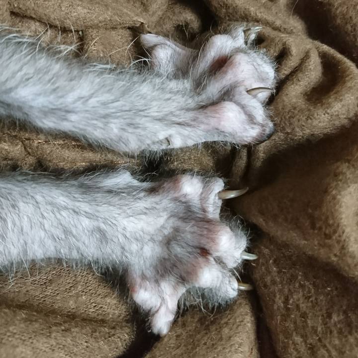 C6dffec2 7b41 4995 93e1 8750a2379edf 1516077838014