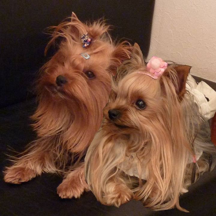 C6e04807 7ead 4901 b56e fa6eacf4c02c 1556609169392