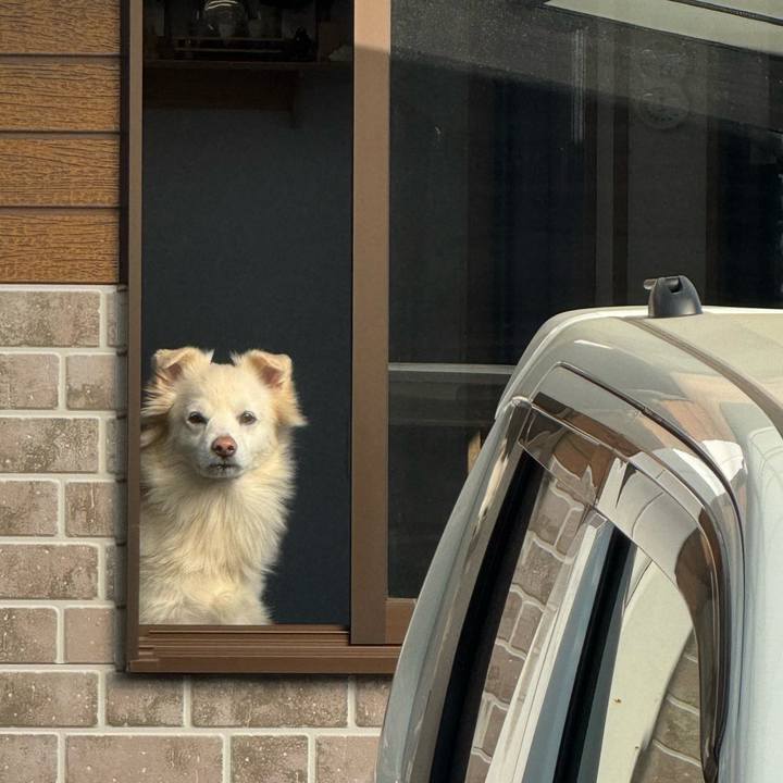 C6e04cce 98a2 4db2 8bf7 e968f2bcbb60 1763087256079