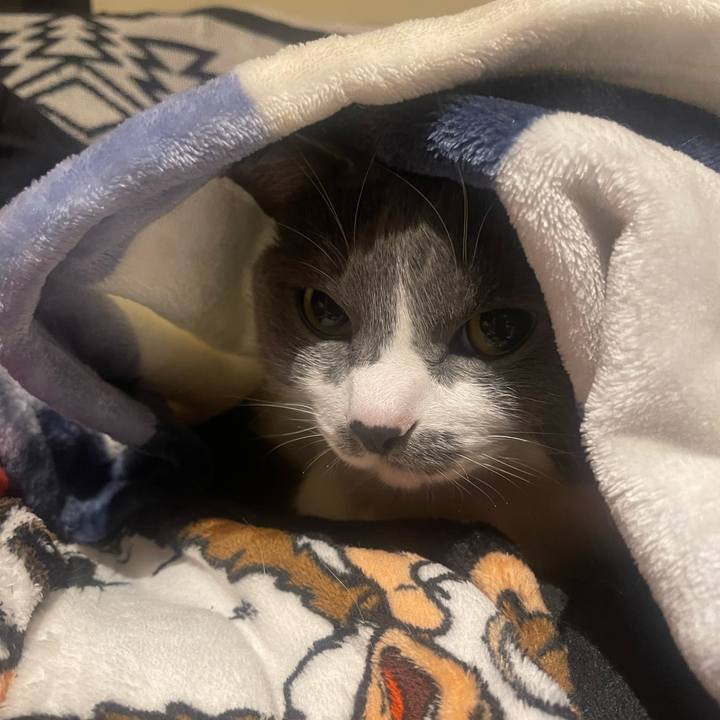 C6e05192 d243 4b7d 8dae 3599e50359c9 1745938530187