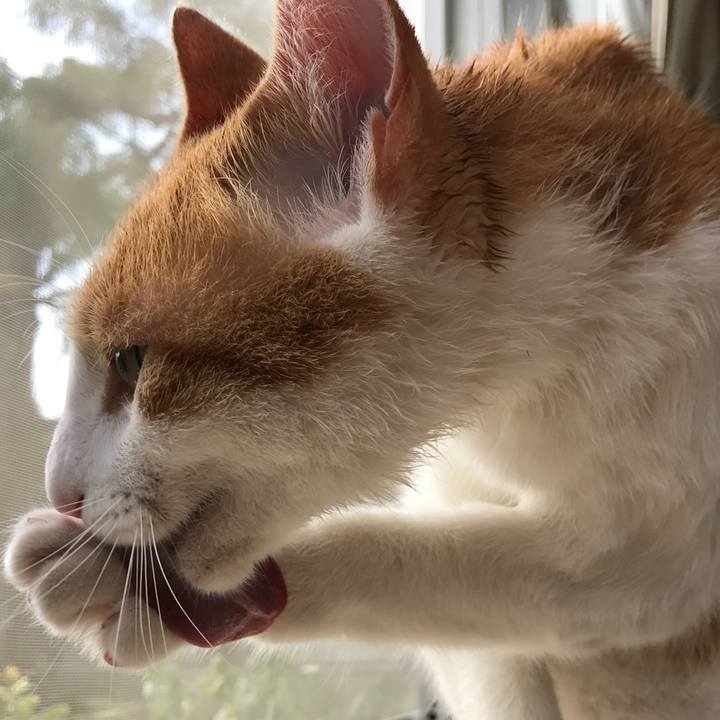 C6e06715 f877 485e a876 2390282900f3 1509592721287