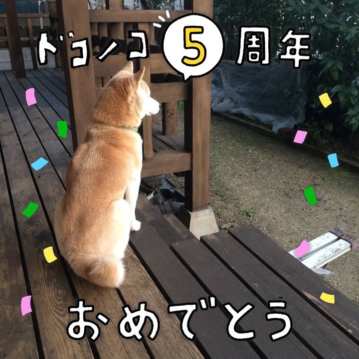 C6e06ba5 bfa5 4a37 9f8e 3a04ee51c796 1622948459953