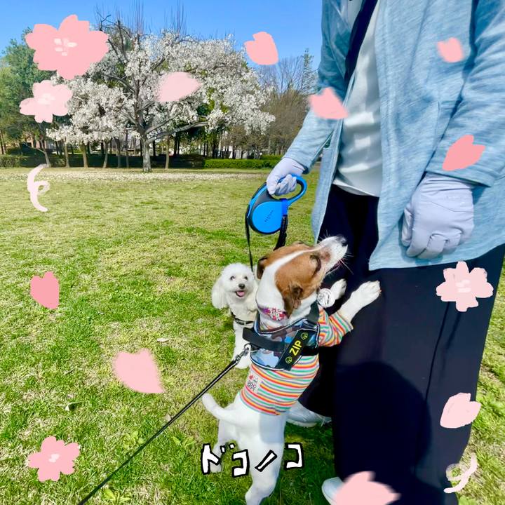 C6e0b8aa 47e0 4734 a34c f95be6d1d5cf 1744421725748