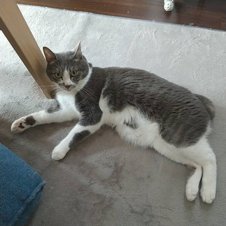 C6e13fce 9b59 480f a712 35fd60a5c7b7 1652912557707