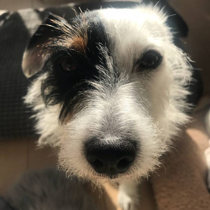 C6e1d206 ccb7 4723 8293 bee641a7038c 1515559780936