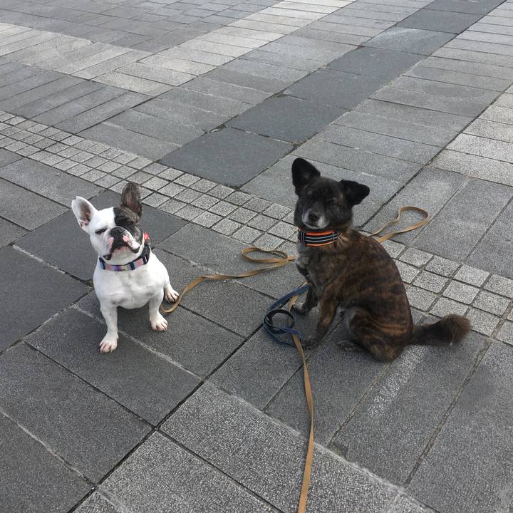 C6e1d990 1d0c 4c7c b4f8 bcadd77bc622 1550500857923