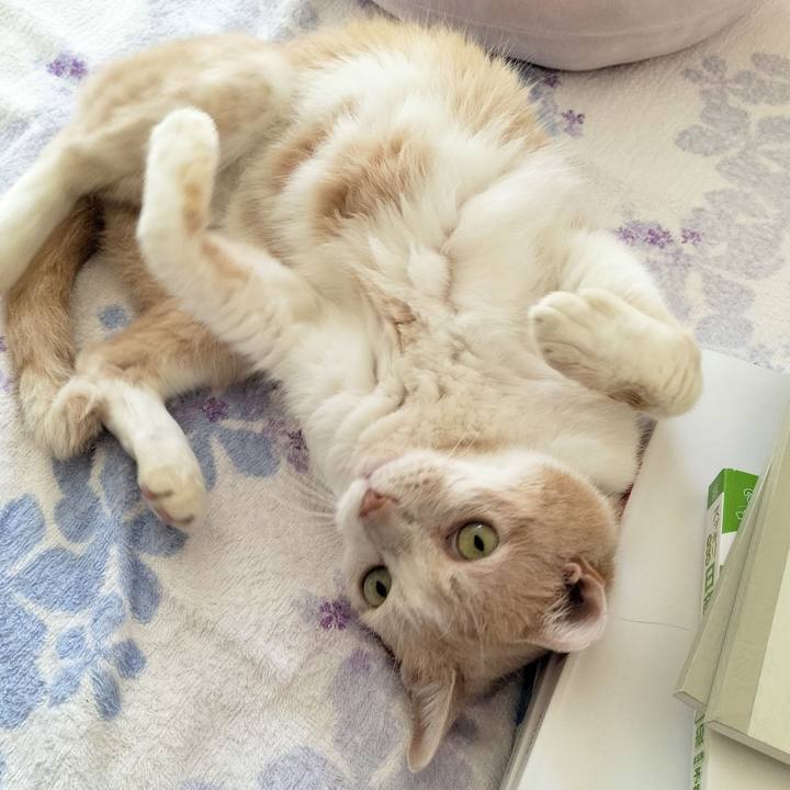 C6e21050 15ee 4cd4 8a49 05ecad9bf28f 1665883435922