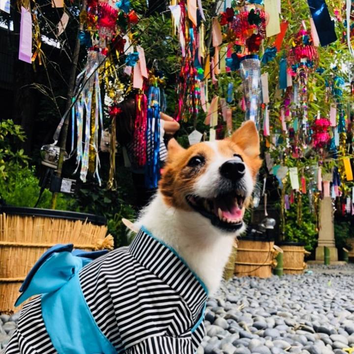 C6e2384a 6d05 493a ab94 6ef30ebab079 1535547549707