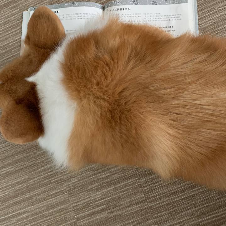 C6e23fee 1553 4793 b85d 7dcfb16b63d0 1572308793842